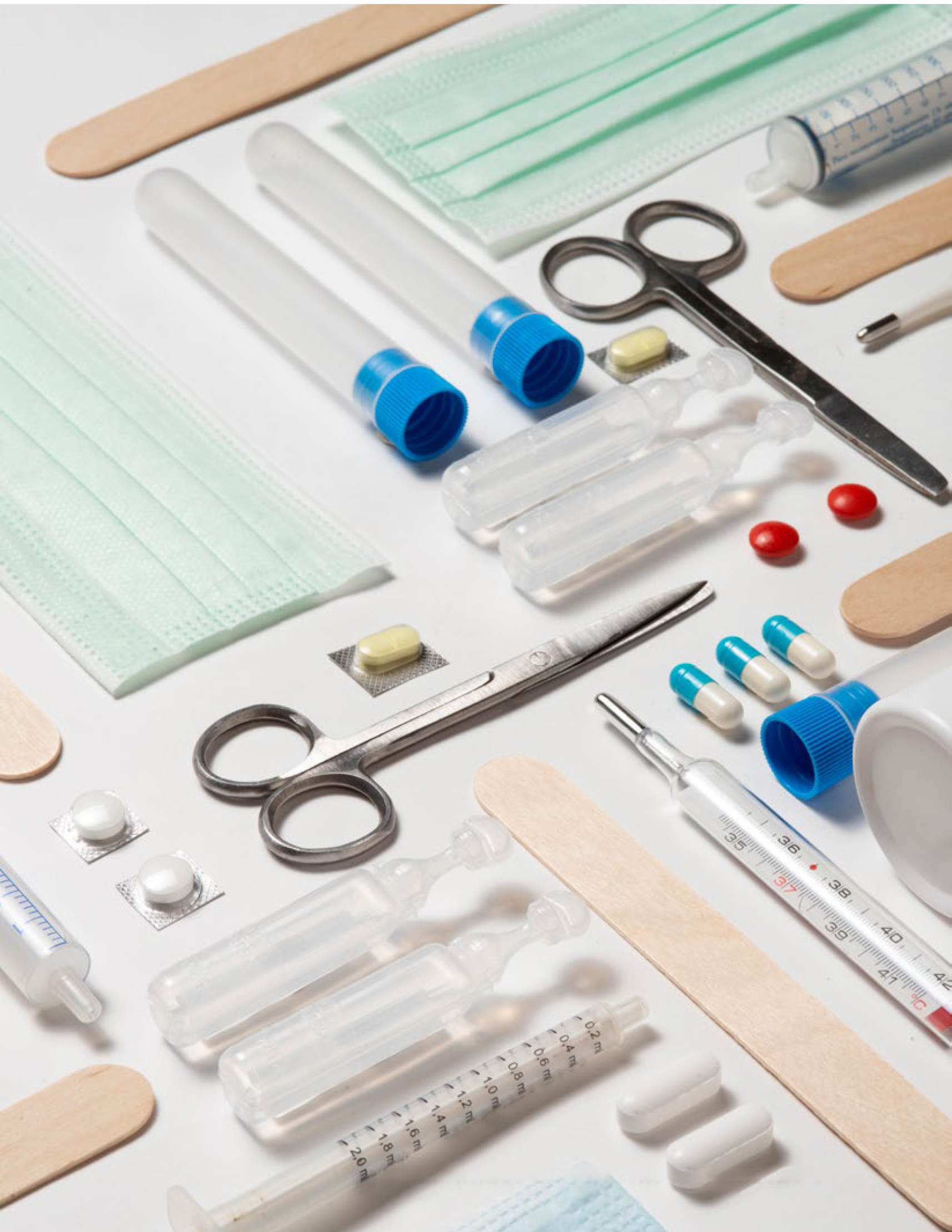 Healthcare and Wellness Industry 